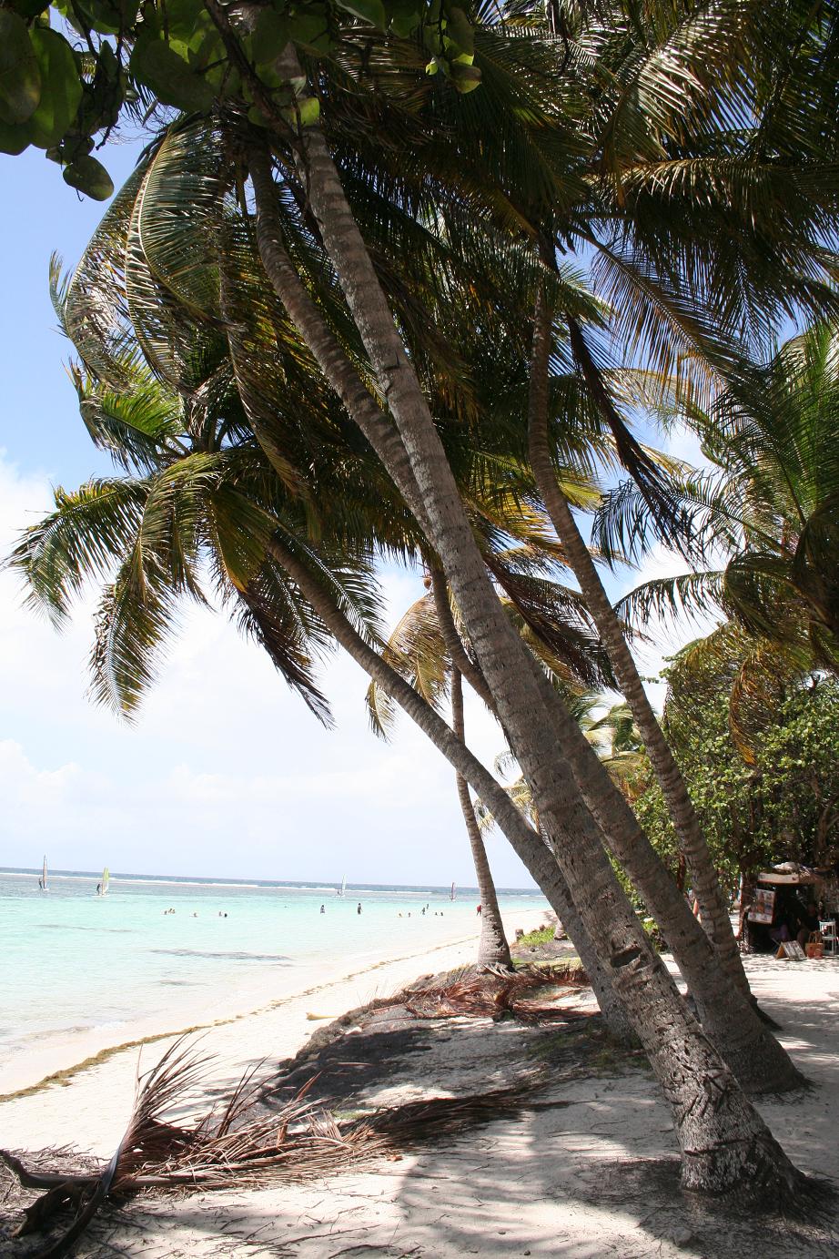 Vue de Grande-Terre, Sainte-Anne et la Pointe des Châteaux pour préparer un séjour en Guadeloupe