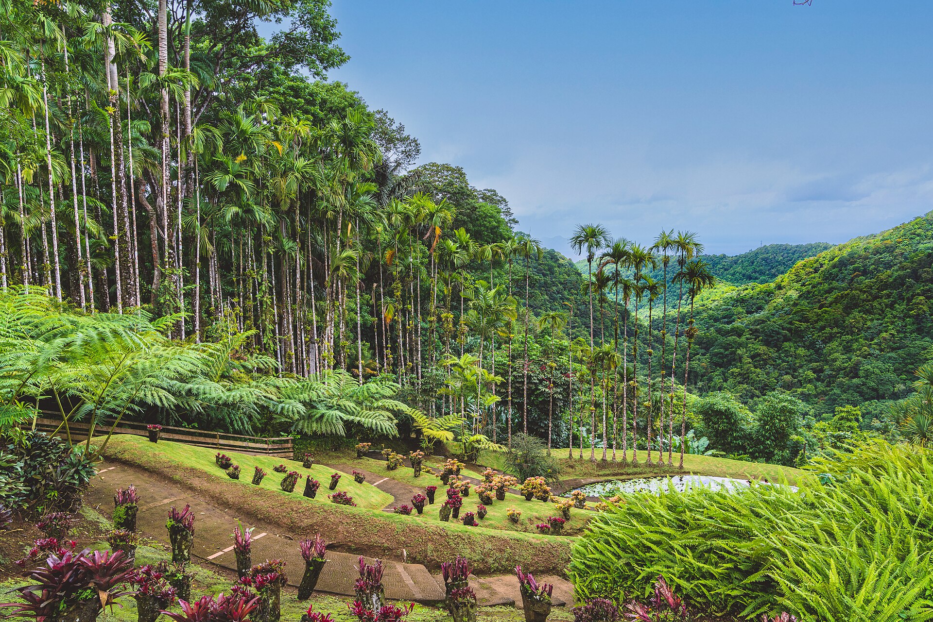 Vue de les distilleries, jardins et domaines de Martinique pour préparer un séjour en Martinique