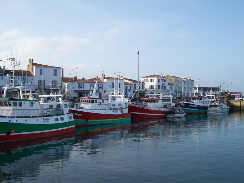 Vue de la Vendée, l’île d’Yeu et les marais pour préparer un séjour en Pays de la Loire