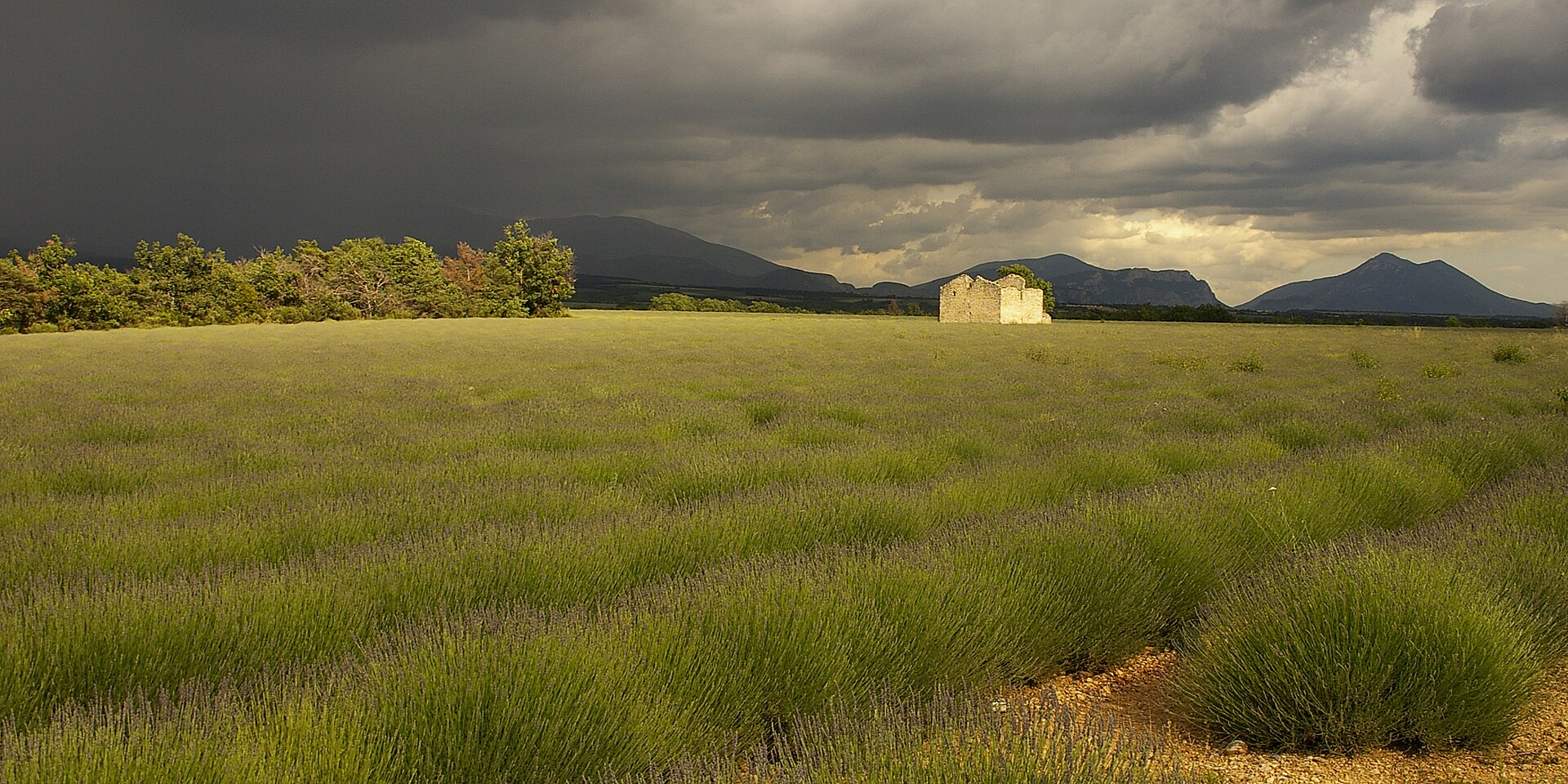 Paysage de voyage en France entre nature, villages et lumière douce