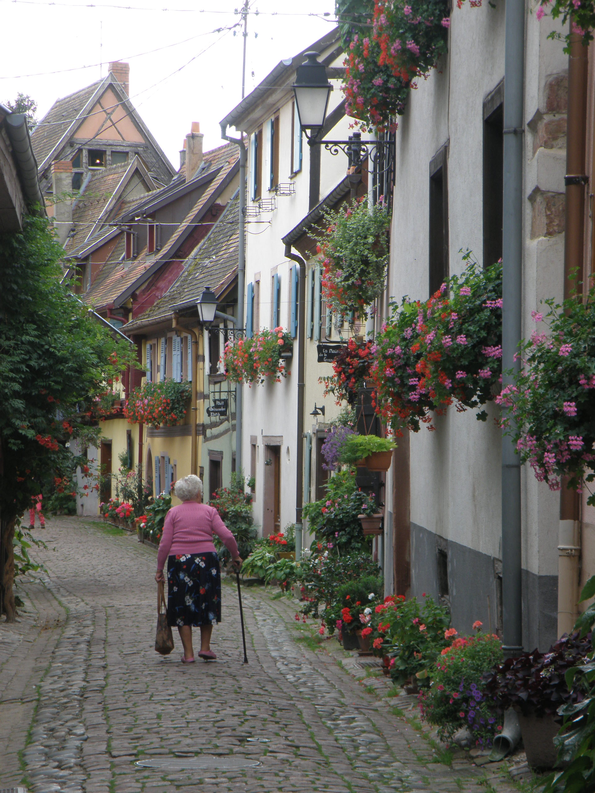 Village alsacien avec maisons à colombages dans le Grand Est