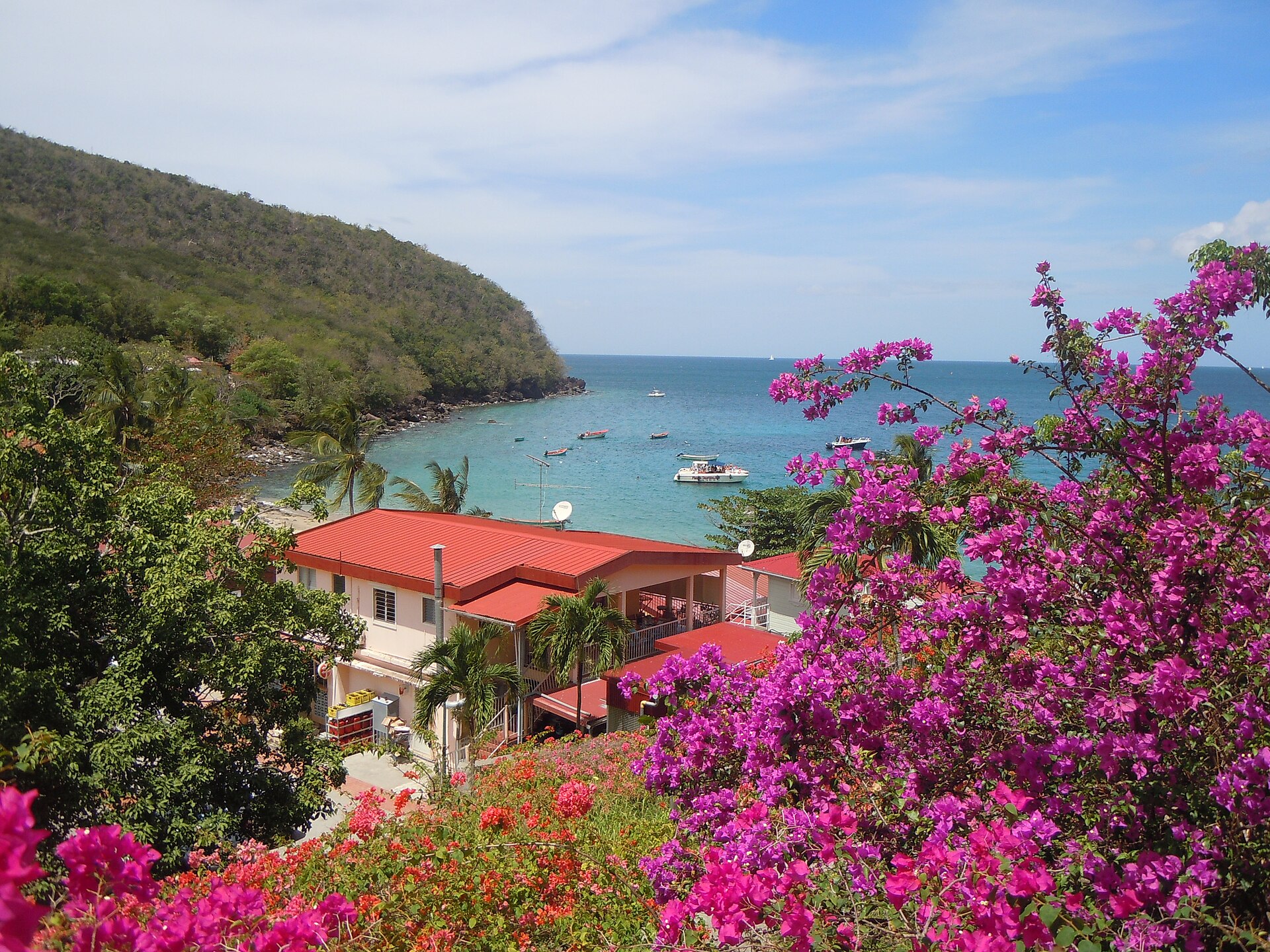 Anse tropicale en Martinique avec plage et mer turquoise